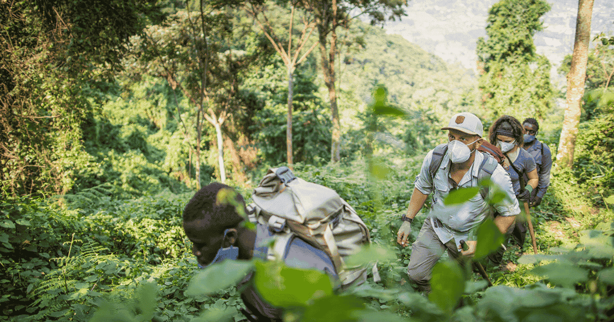 gorilla tour in uganda eric hanson on a backpacking and hiking adventure