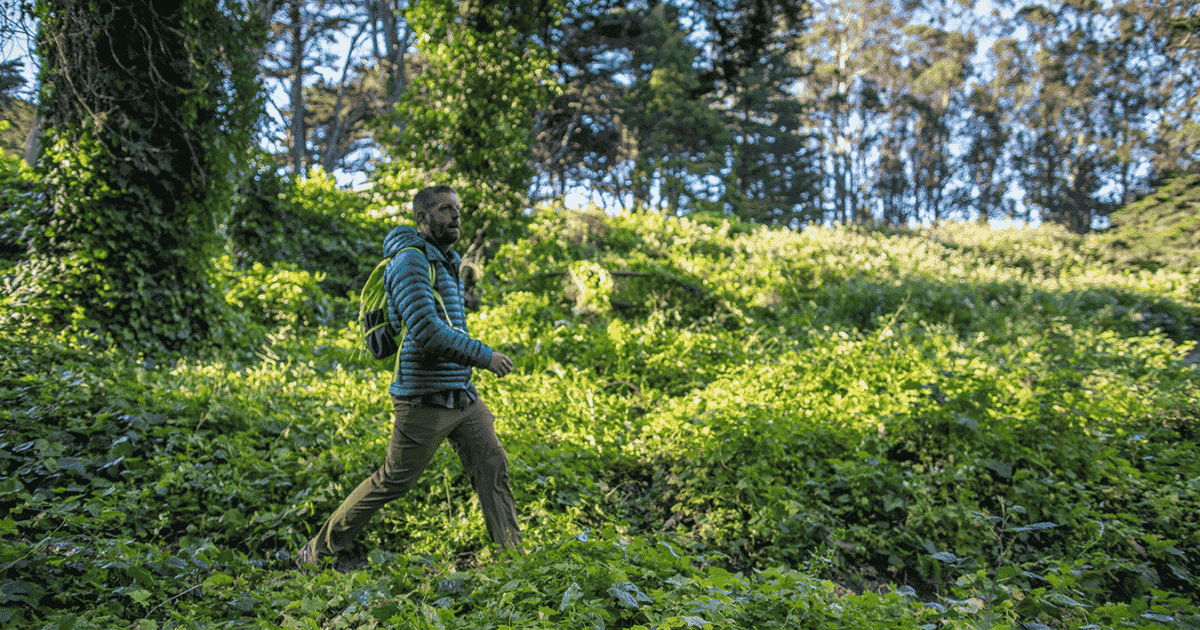 hiking Presidio National Park San Francisco