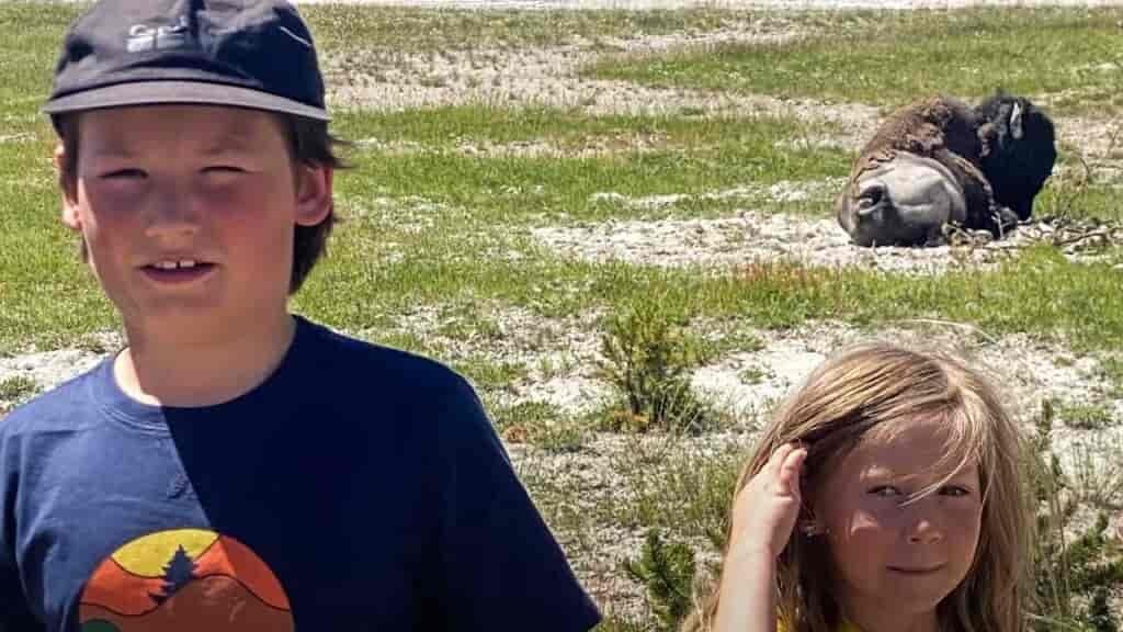 Tucker and Parker got to see a LOT of buffalo!