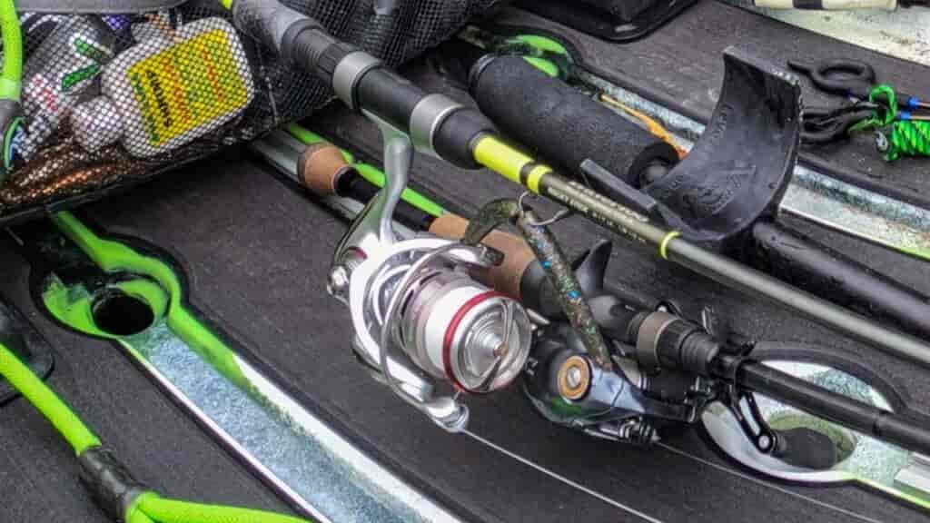 Senkos made a big difference in size on the San Marcos River