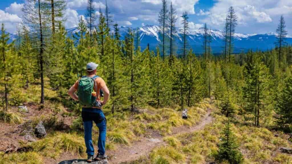 You can carry all the essentials for a day hike in this day pack.  Perfect size for it all and has a perfect place for each item.
