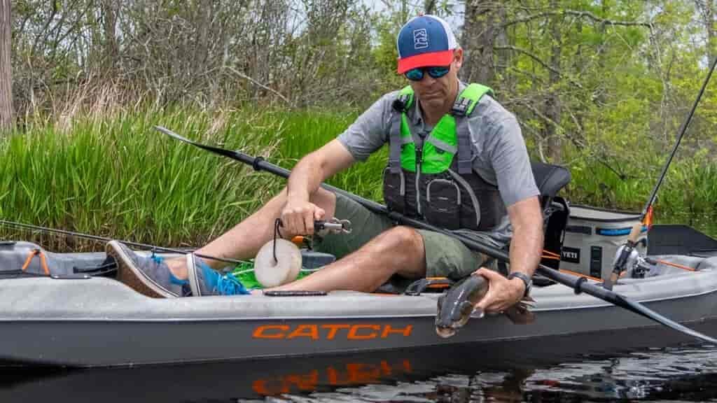 Release your fish quick! You have officially run the dinner bell the moment you catch one!