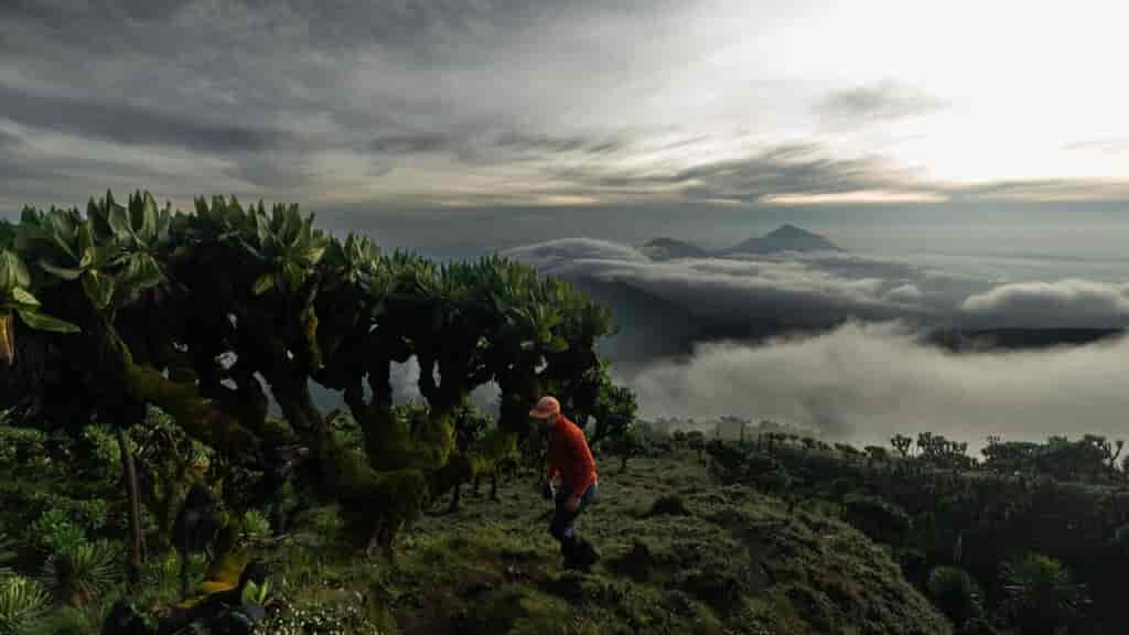This is a very unique location and incredible to hike!