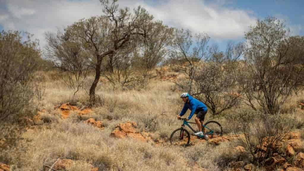 Very cruisy trails, fun for all.