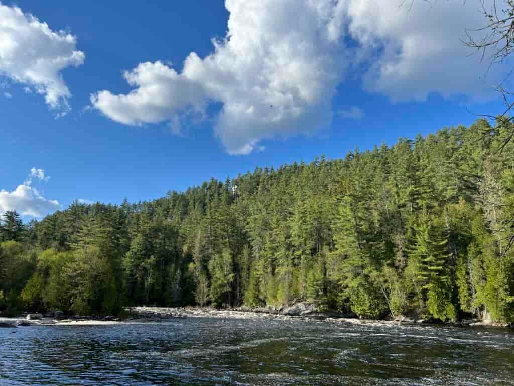 Dumoine River day 1