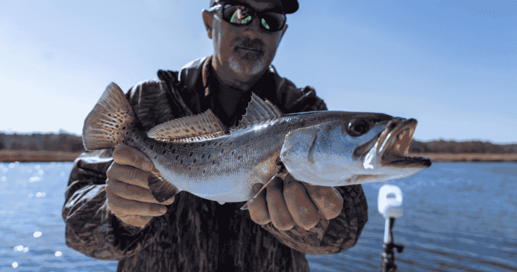 captain dehart pamlico sound north carolina