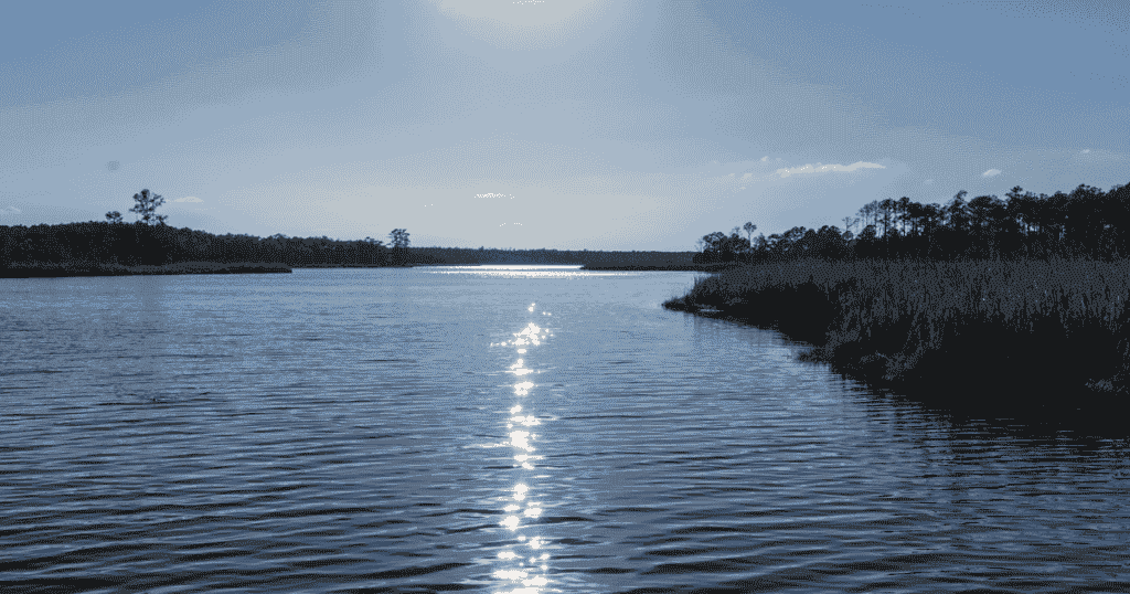 pamlico sound fishing